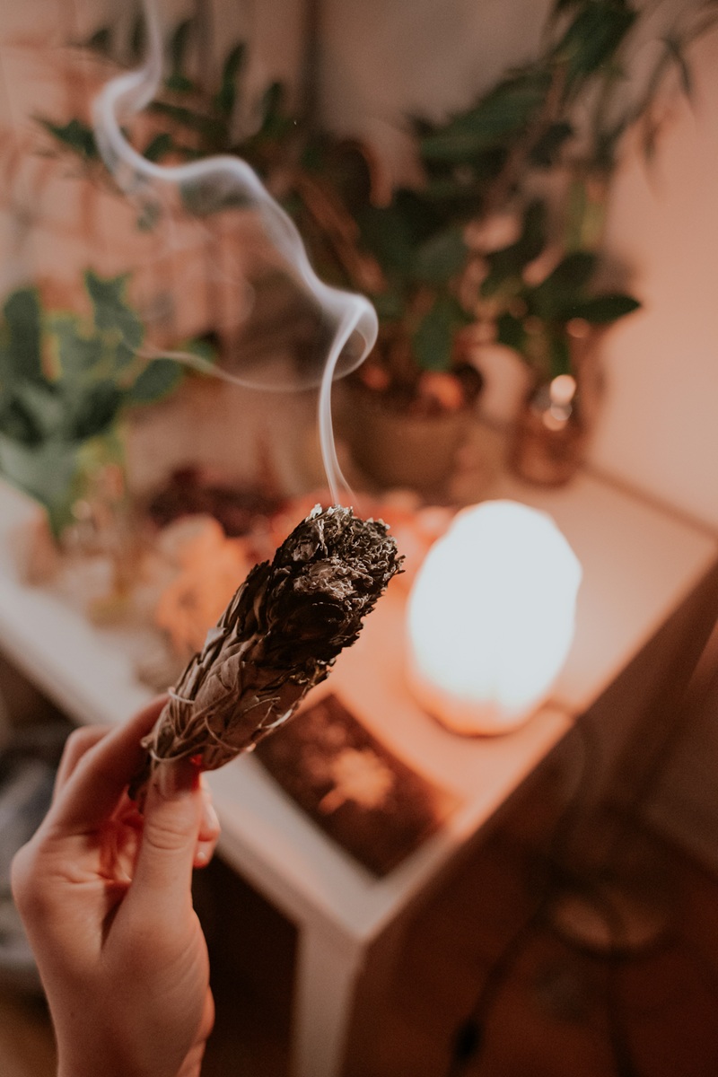 marcos-paulo-prado-tt7kqCbqGDI-unsplash (1)